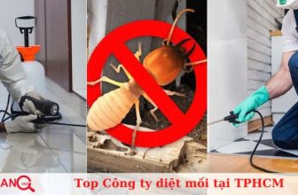 Top công ty diệt mối tận gốc uy tín tốt nhất tại TPHCM