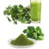 Top 10 Đơn Vị Hút Hầm Cầu Hội An Giá Rẻ Và Uy Tín