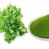 Top 12 Cửa Hàng Bán Bột Chùm Ngây TPHCM An Toàn Uy Tín Và  Chất Lượng