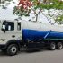 Top 12 Cửa Hàng Mua Bột Diếp Cá TPHCM Uy Tín Và Chất Lượng
